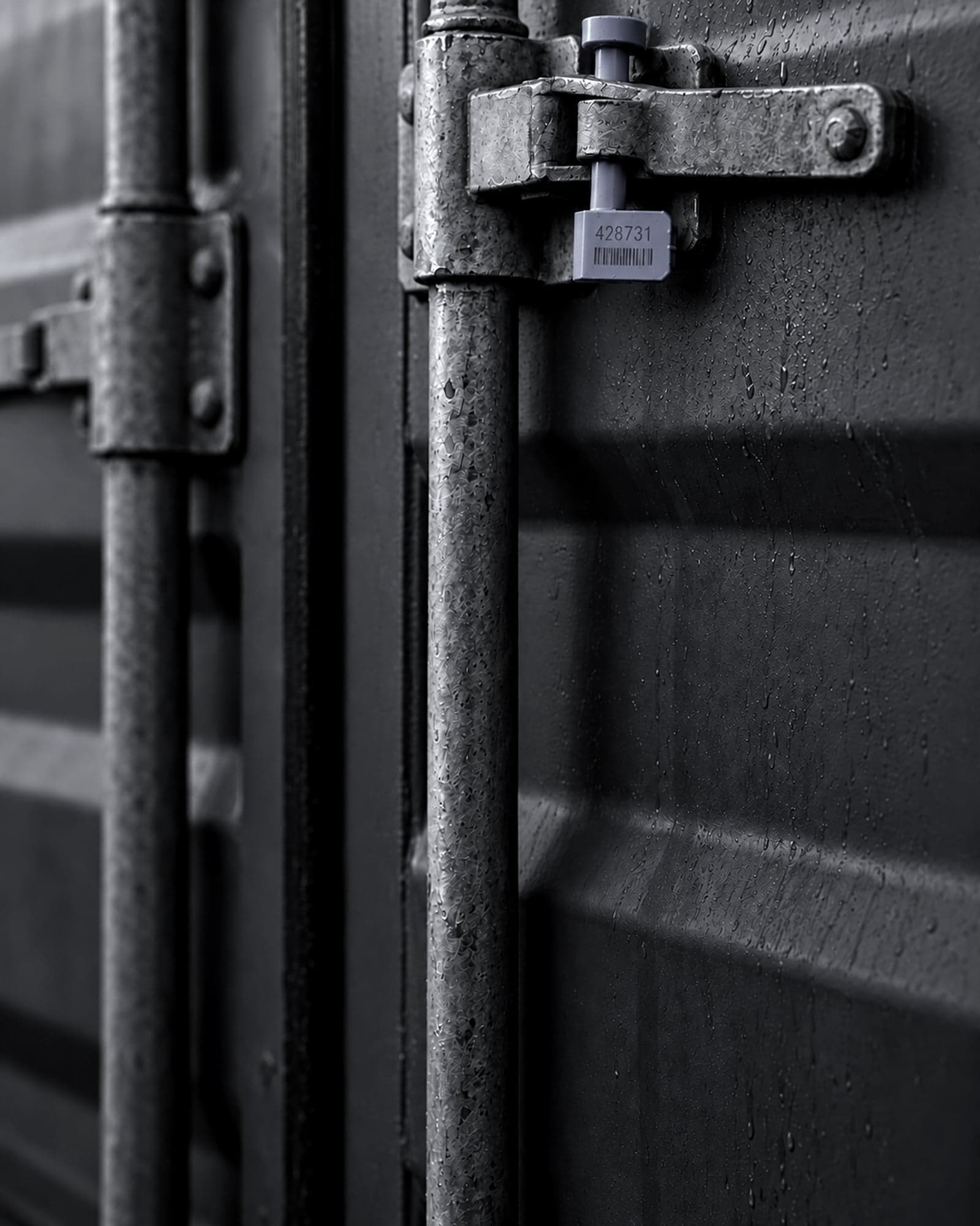 Close-up of a numbered blue bolt seal locking the cam bar of a steel container door at dusk.